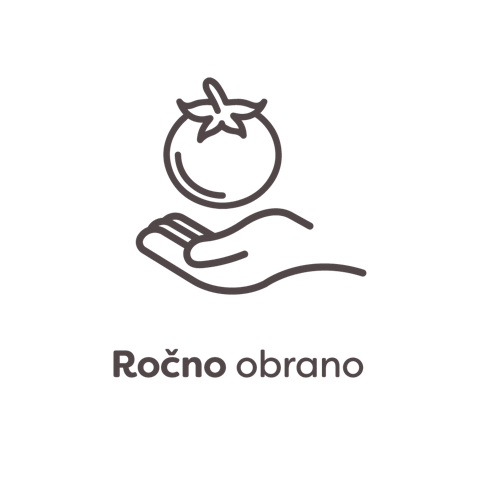 ročno obrano